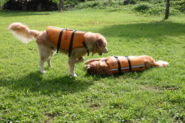 ファイル 409-2.jpg