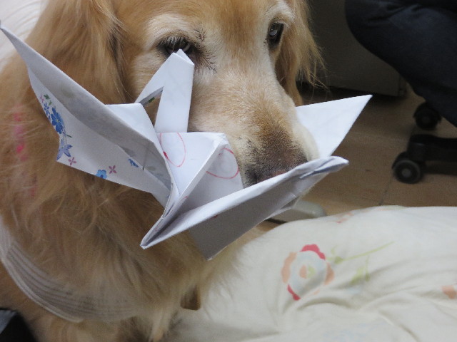 ファイル 4090-2.jpg