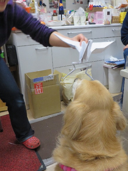 ファイル 4090-4.jpg