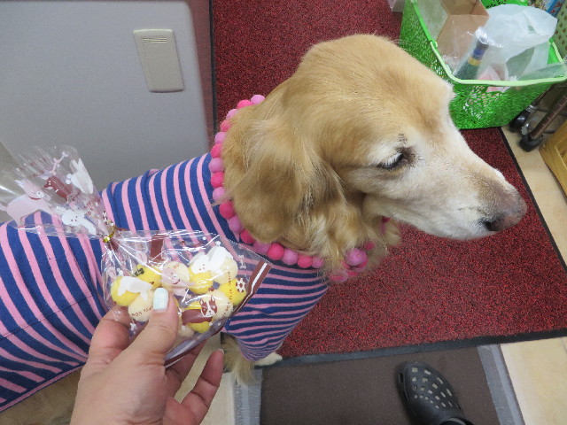 ファイル 4092-2.jpg