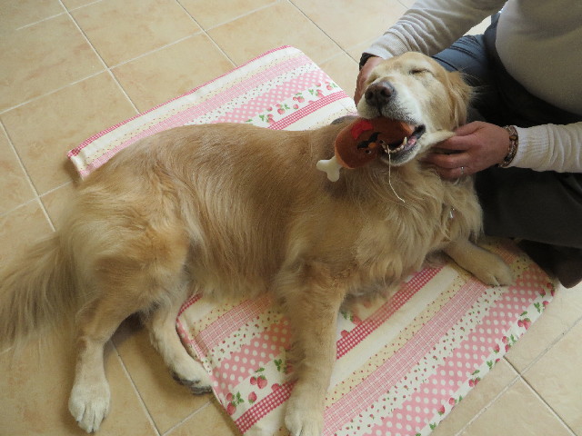 ファイル 4092-4.jpg