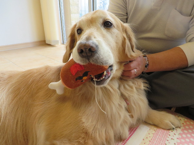 ファイル 4092-5.jpg