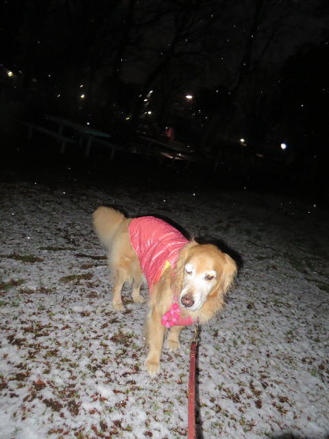 ファイル 4095-3.jpg