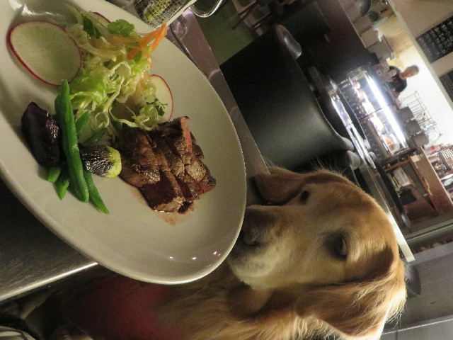 ファイル 4095-4.jpg