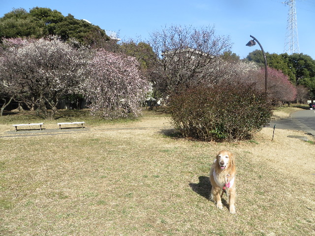 ファイル 4098-4.jpg