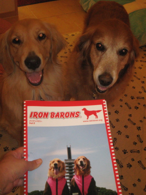 ファイル 410-2.jpg