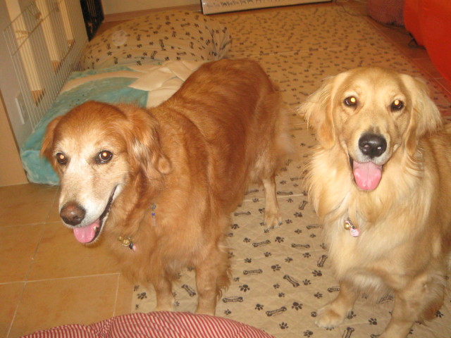 ファイル 410-4.jpg