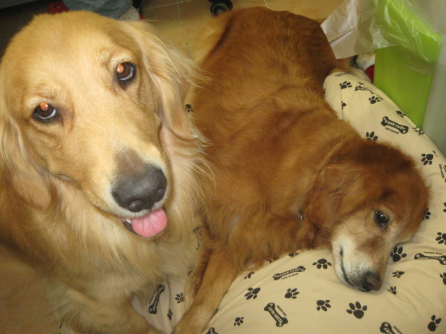 ファイル 410-5.jpg