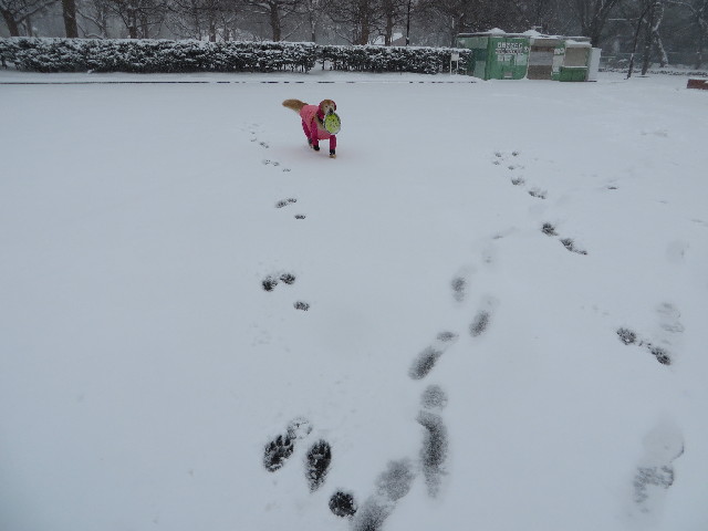 ファイル 4102-2.jpg