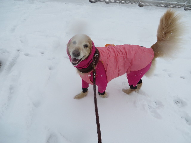 ファイル 4102-4.jpg