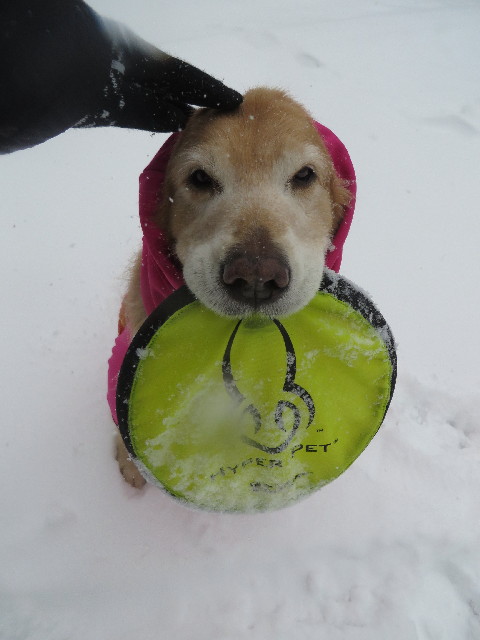 ファイル 4104-5.jpg