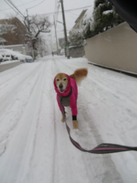 ファイル 4105-3.jpg