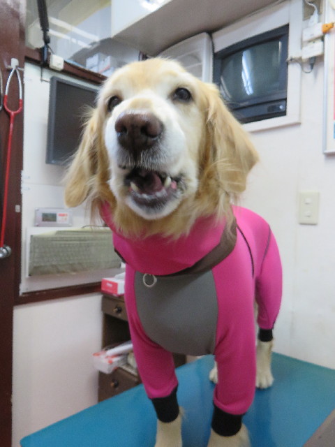 ファイル 4105-5.jpg