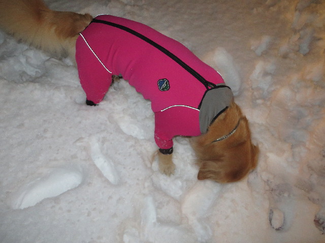 ファイル 4107-4.jpg