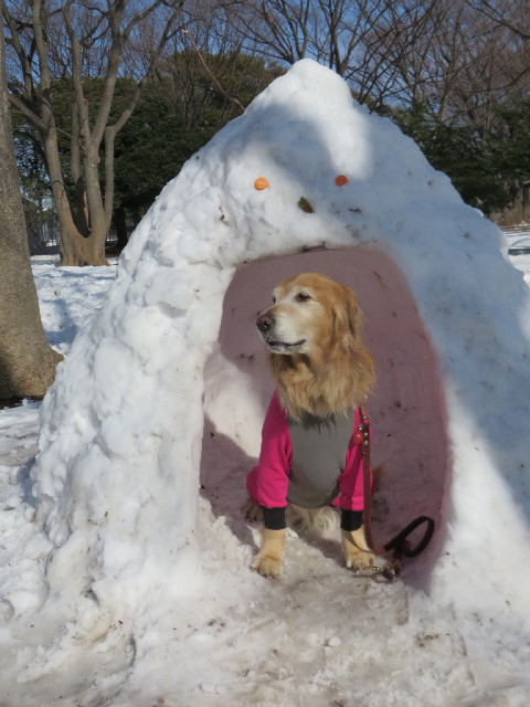 ファイル 4108-4.jpg