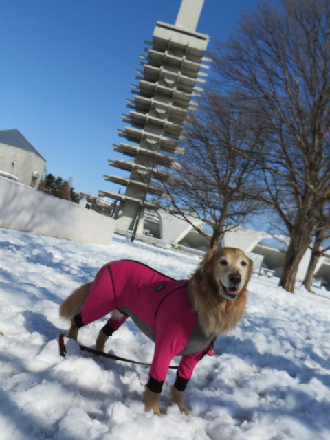 ファイル 4108-5.jpg