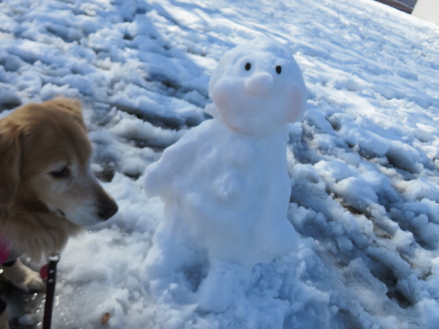 ファイル 4109-1.jpg