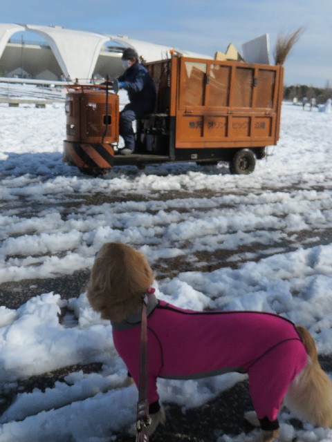 ファイル 4109-3.jpg