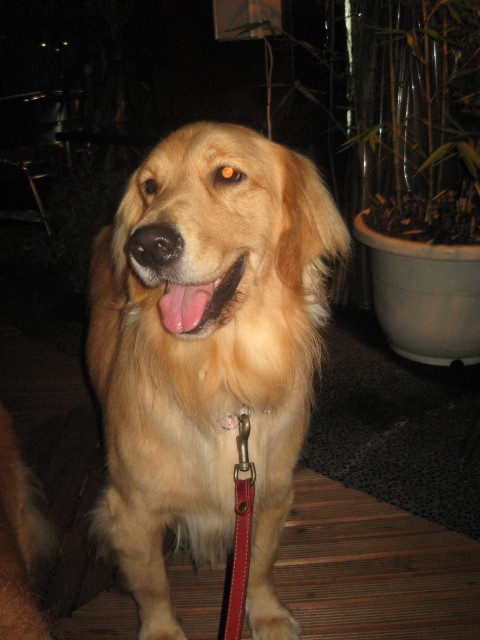 ファイル 411-1.jpg