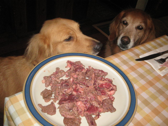 ファイル 411-2.jpg