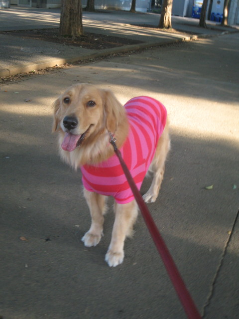 ファイル 411-5.jpg