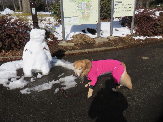 ファイル 4110-2.jpg