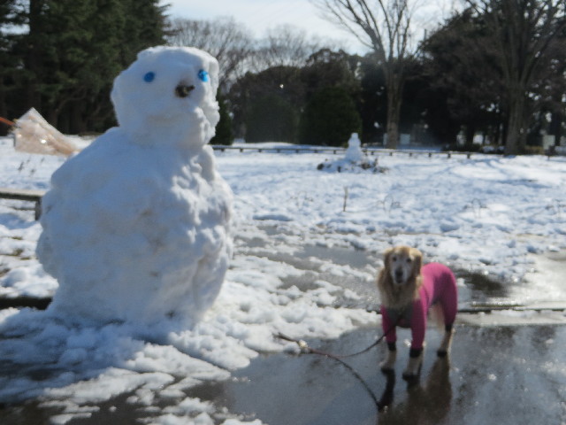 ファイル 4111-3.jpg