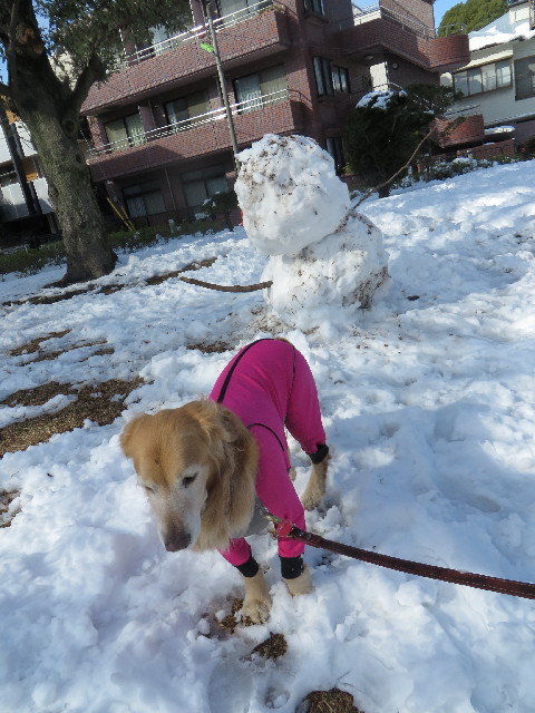 ファイル 4111-5.jpg