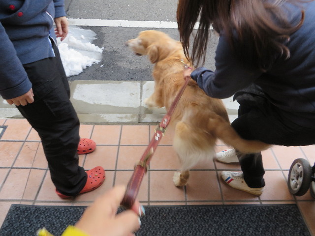 ファイル 4113-1.jpg