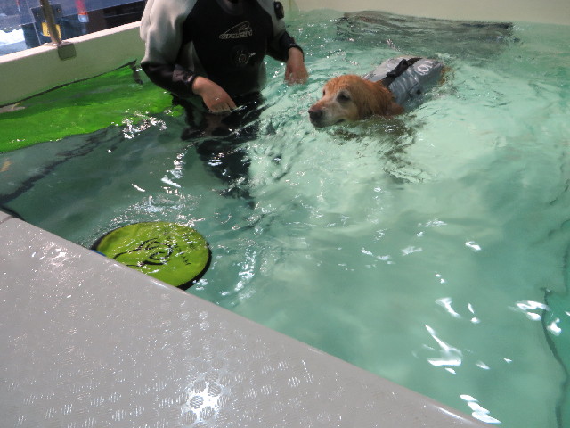 ファイル 4113-4.jpg