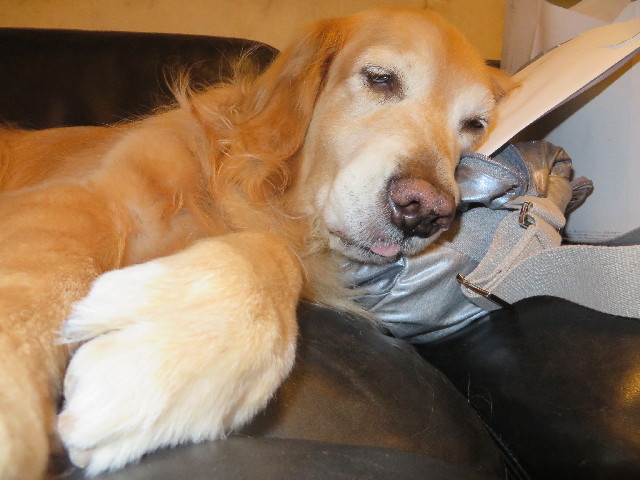 ファイル 4114-4.jpg