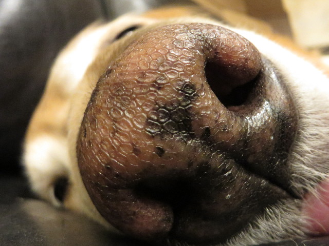 ファイル 4114-5.jpg