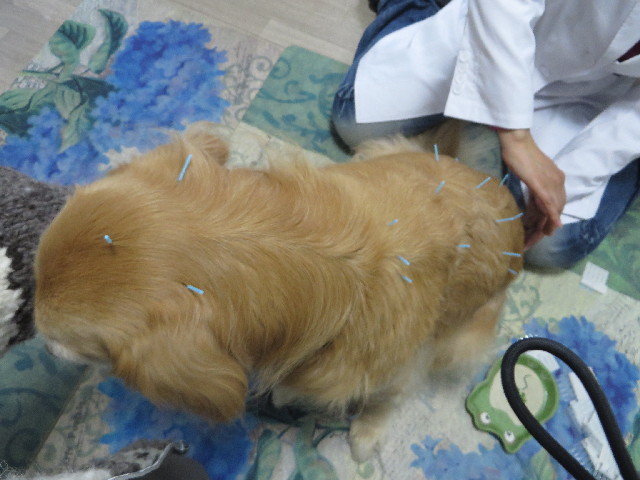 ファイル 4115-2.jpg