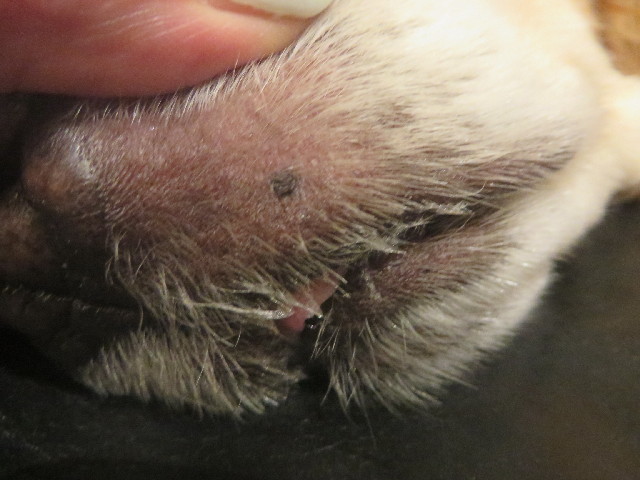 ファイル 4115-4.jpg