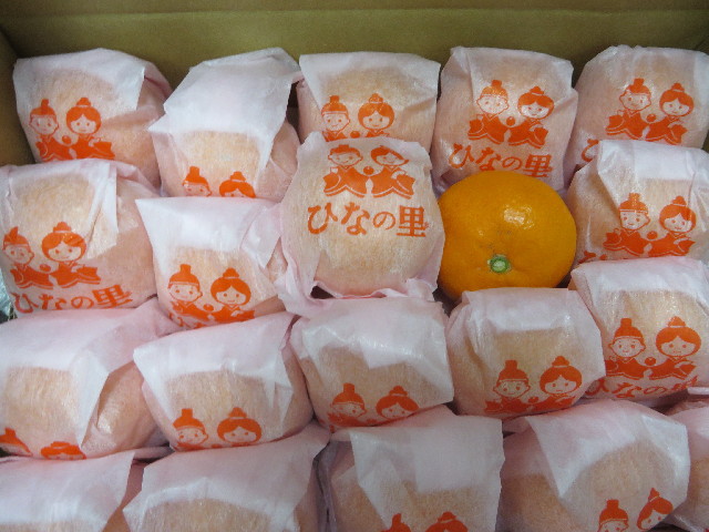 ファイル 4116-2.jpg