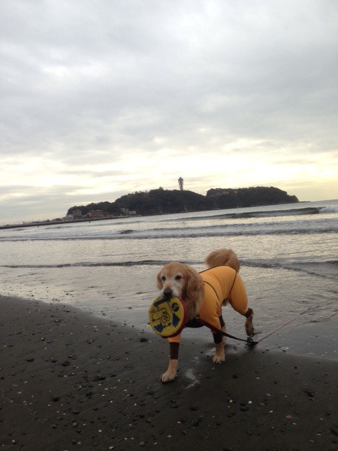 ファイル 4118-3.jpg