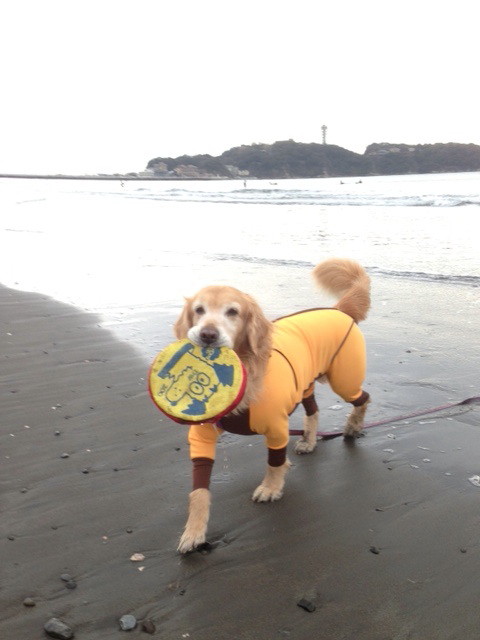 ファイル 4118-4.jpg