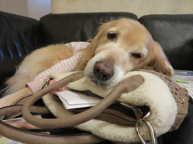 ファイル 4118-5.jpg