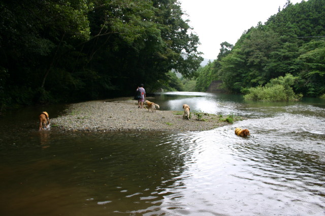 ファイル 412-1.jpg