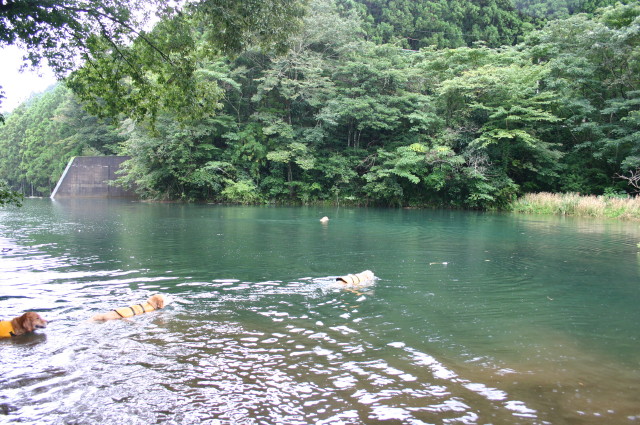 ファイル 412-2.jpg