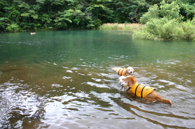 ファイル 412-3.jpg