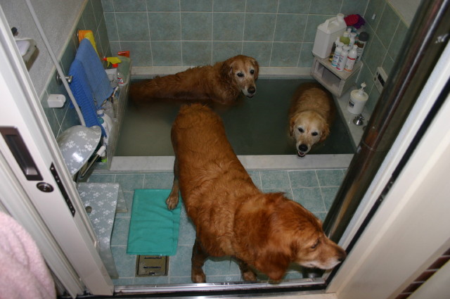 ファイル 412-5.jpg