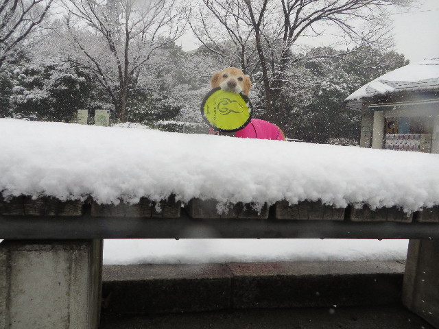 ファイル 4120-1.jpg