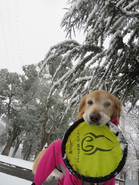 ファイル 4120-5.jpg