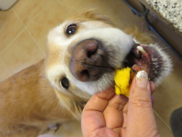 ファイル 4121-2.jpg