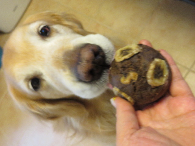 ファイル 4121-3.jpg