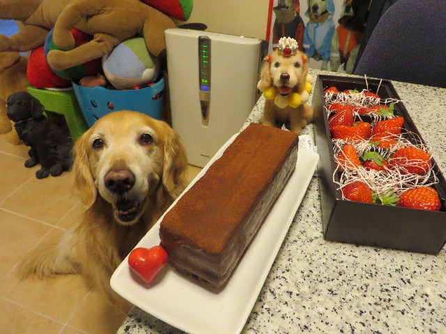 ファイル 4121-4.jpg