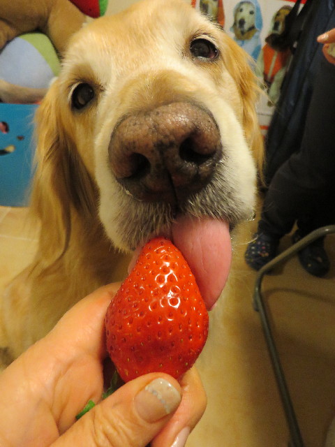 ファイル 4121-5.jpg