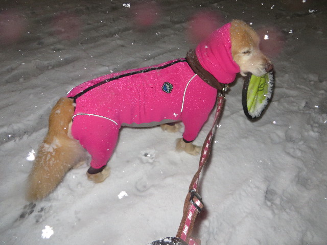 ファイル 4122-5.jpg