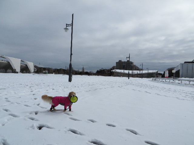 ファイル 4123-2.jpg